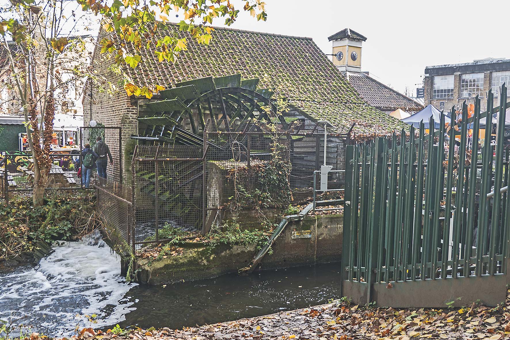 ColliersWdtoCarshaltonBeeches RLG 03