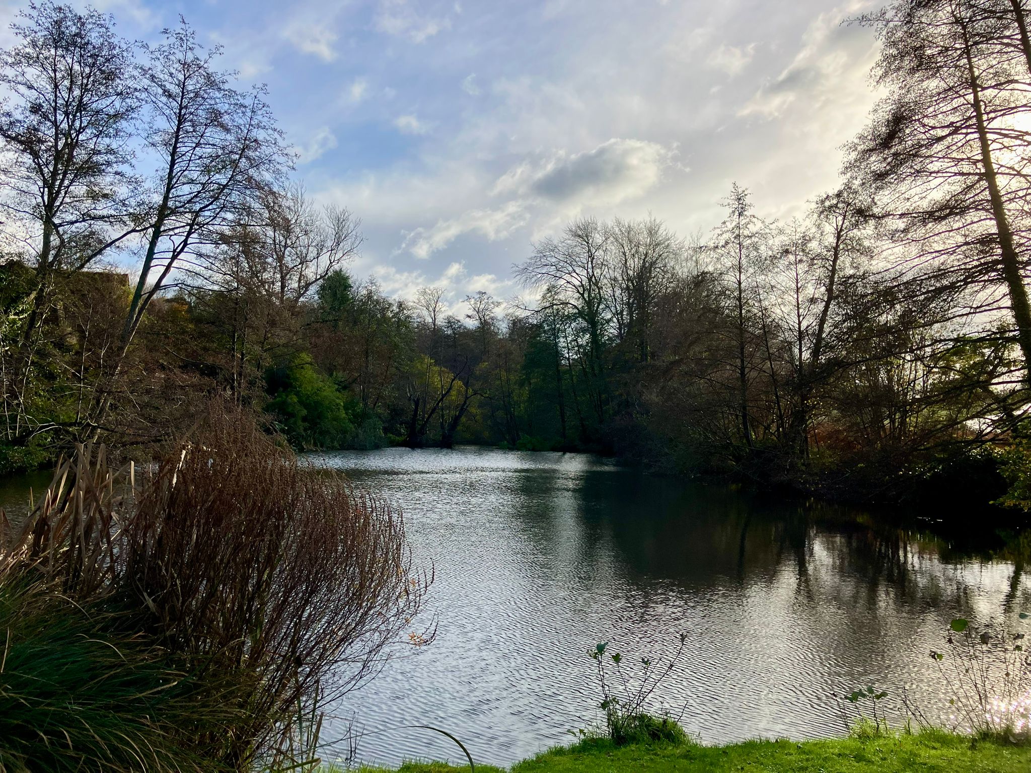 Witley NOV25 SE 4