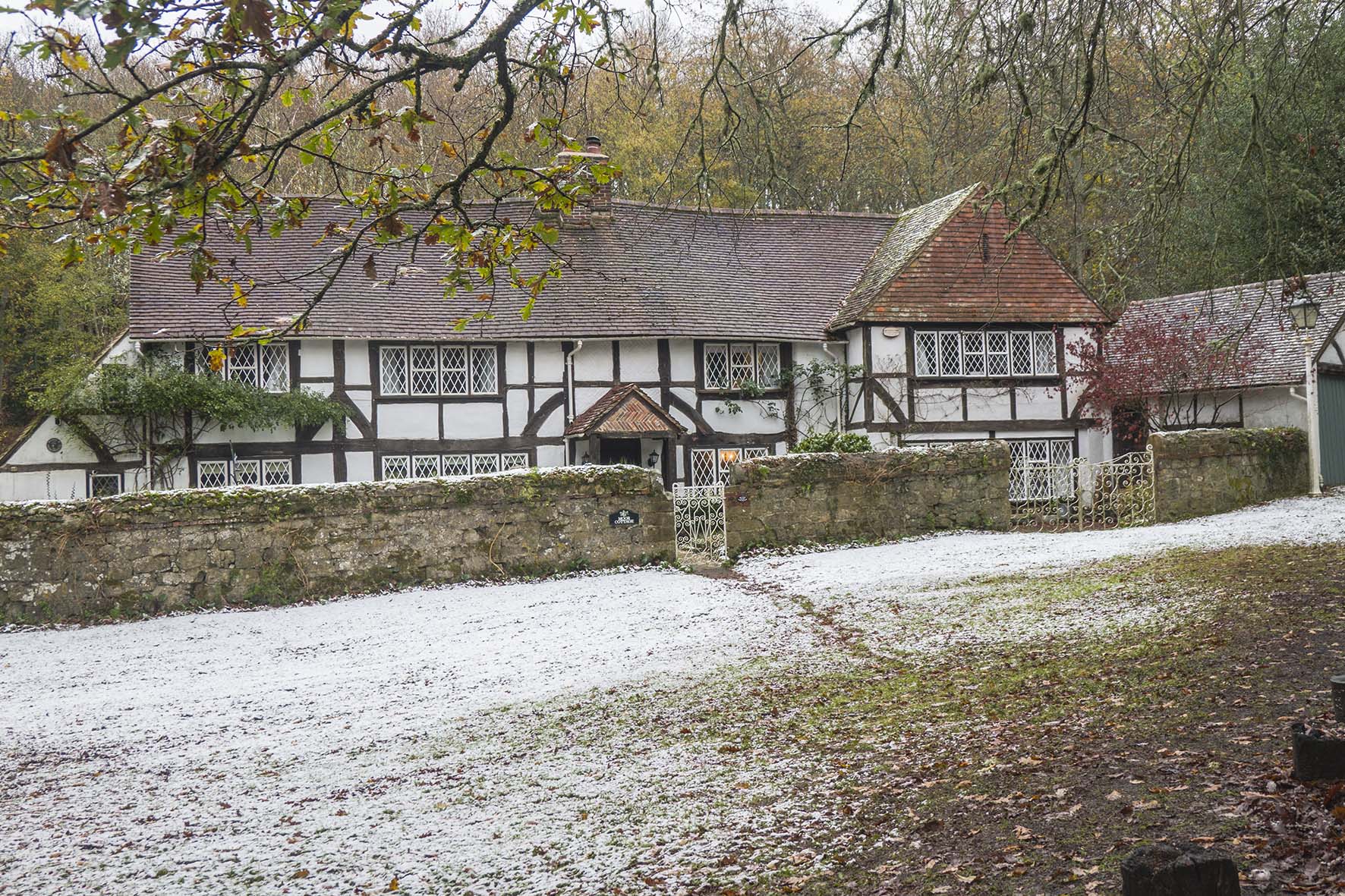 WitleyCirc RLG03