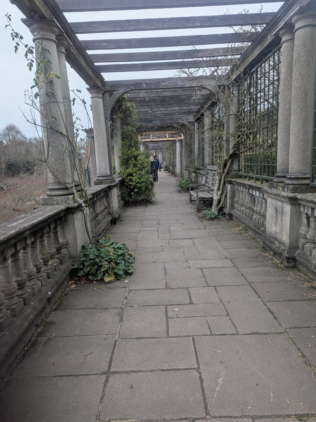 Hampstead JAN26 DH 3