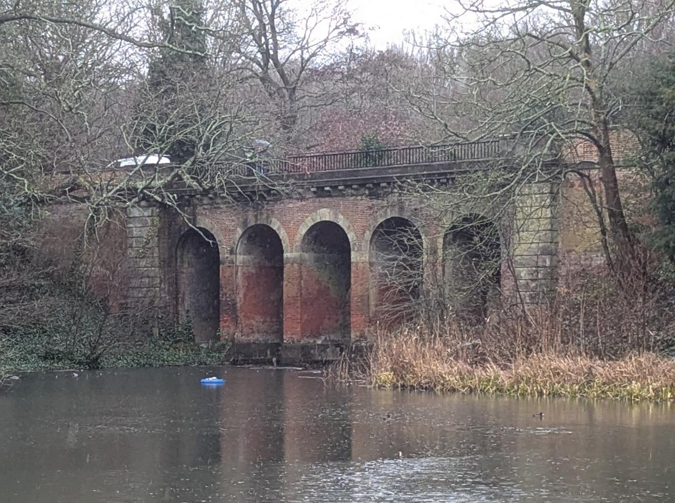 Hampstead JAN26 DH 8