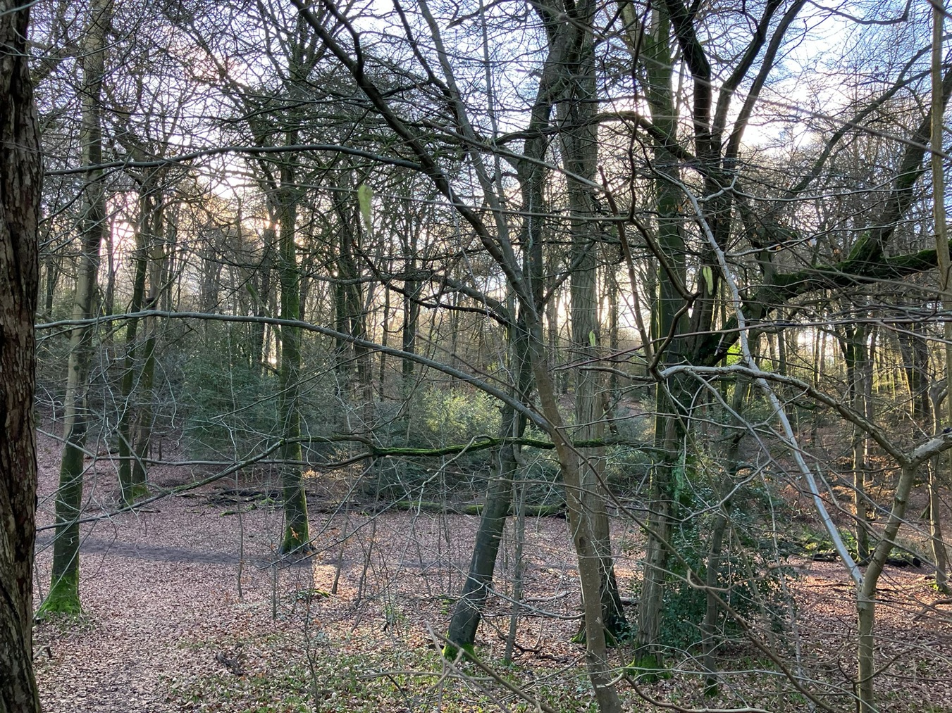 ChorleyWood FEB26 SE 6