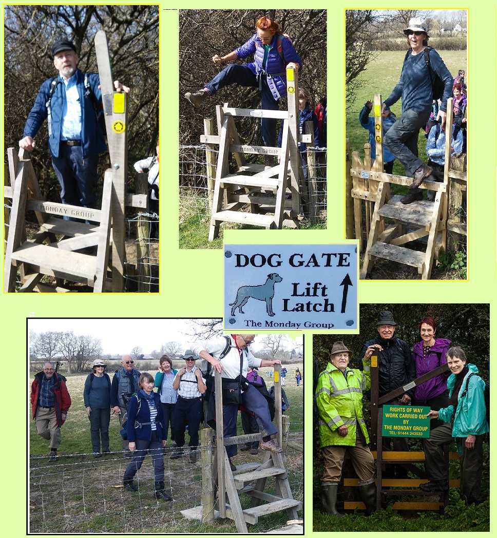 Gate 2016 Plumpton StileSussexCollage
