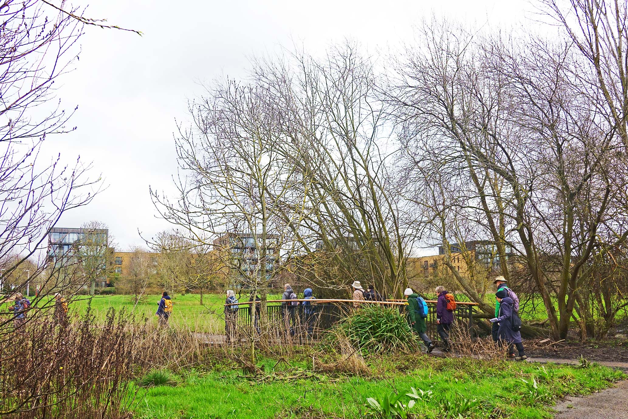 MottinghamtoBlackheath RLG 06