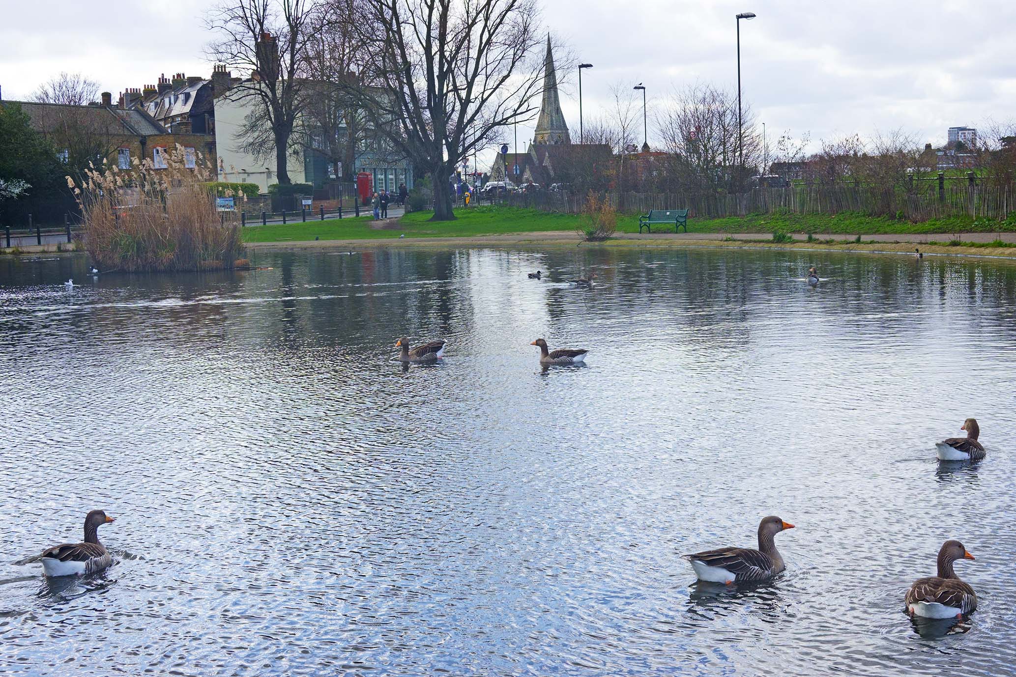 MottinghamtoBlackheath RLG 08