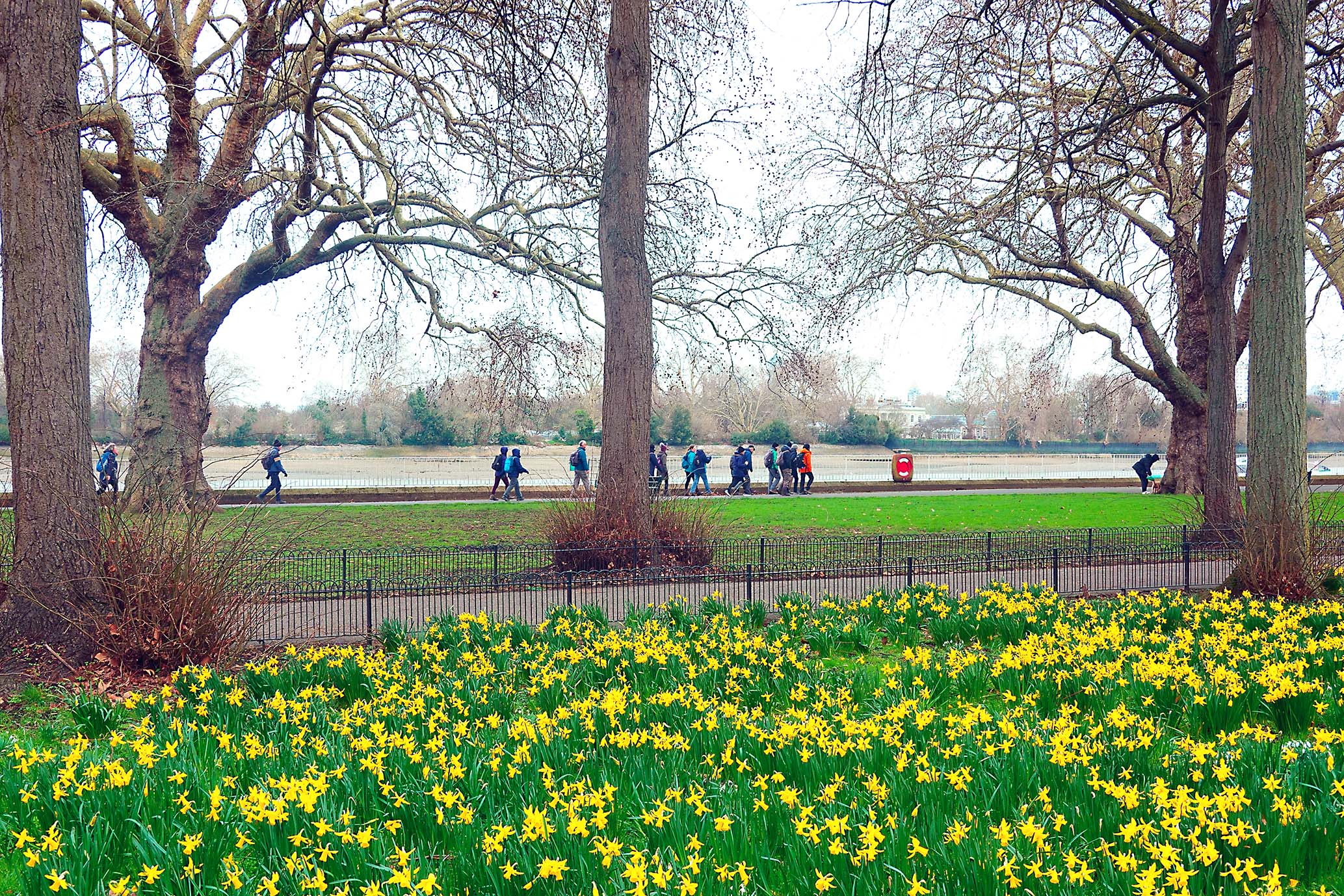 PutneytoWestminster RLG 01