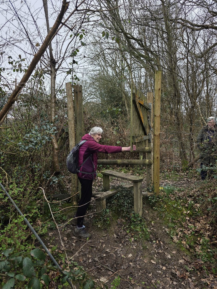 Buxted RH hi stile with gate