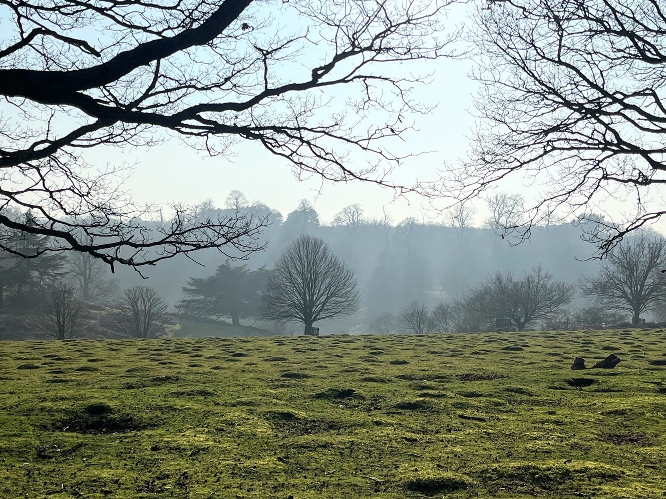Sevenoaks MAR26 CMartin 3B