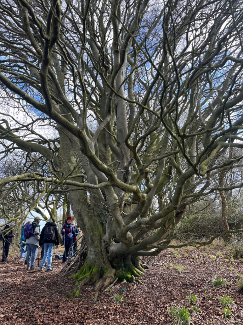 Tring MAR26 CMartin 2
