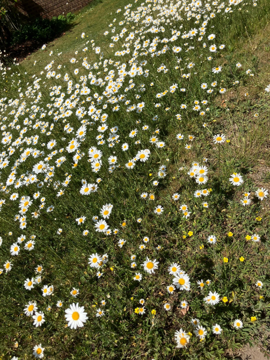 GtMissenden MAY26 SE 5