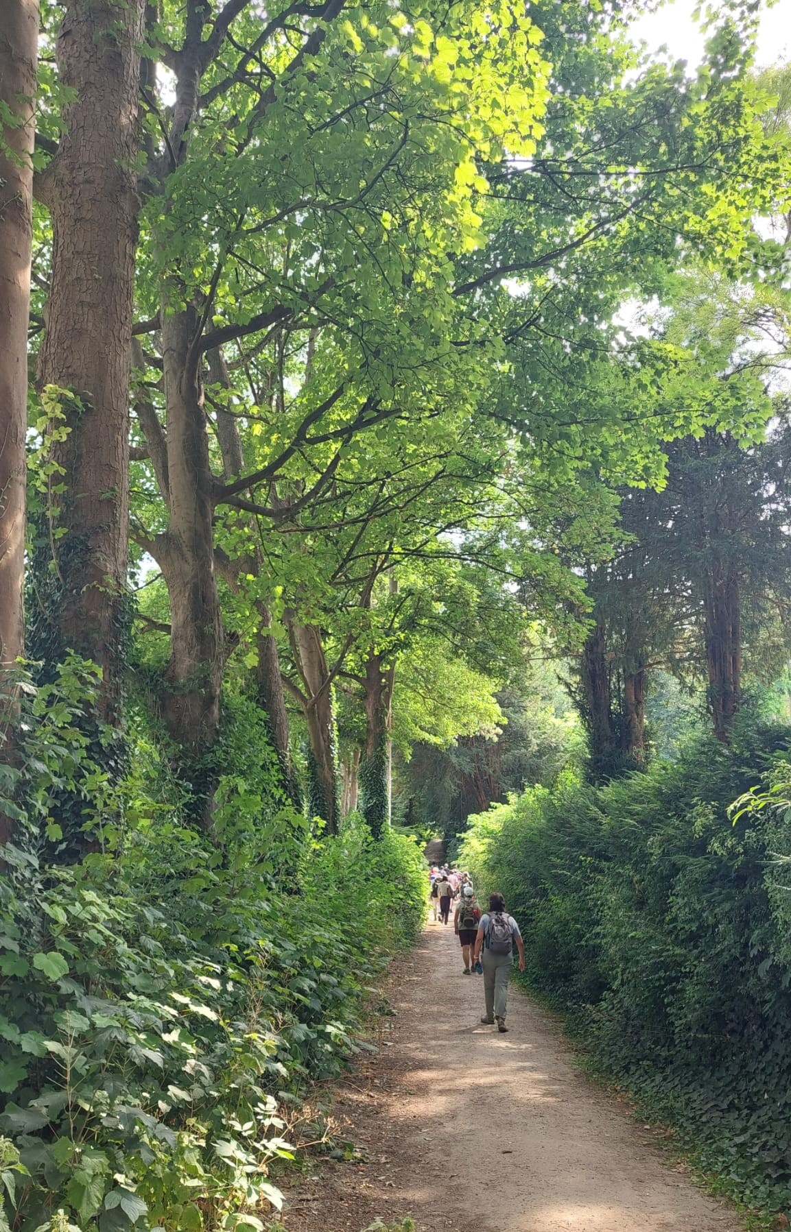 Eynsford JUL26 GB 1