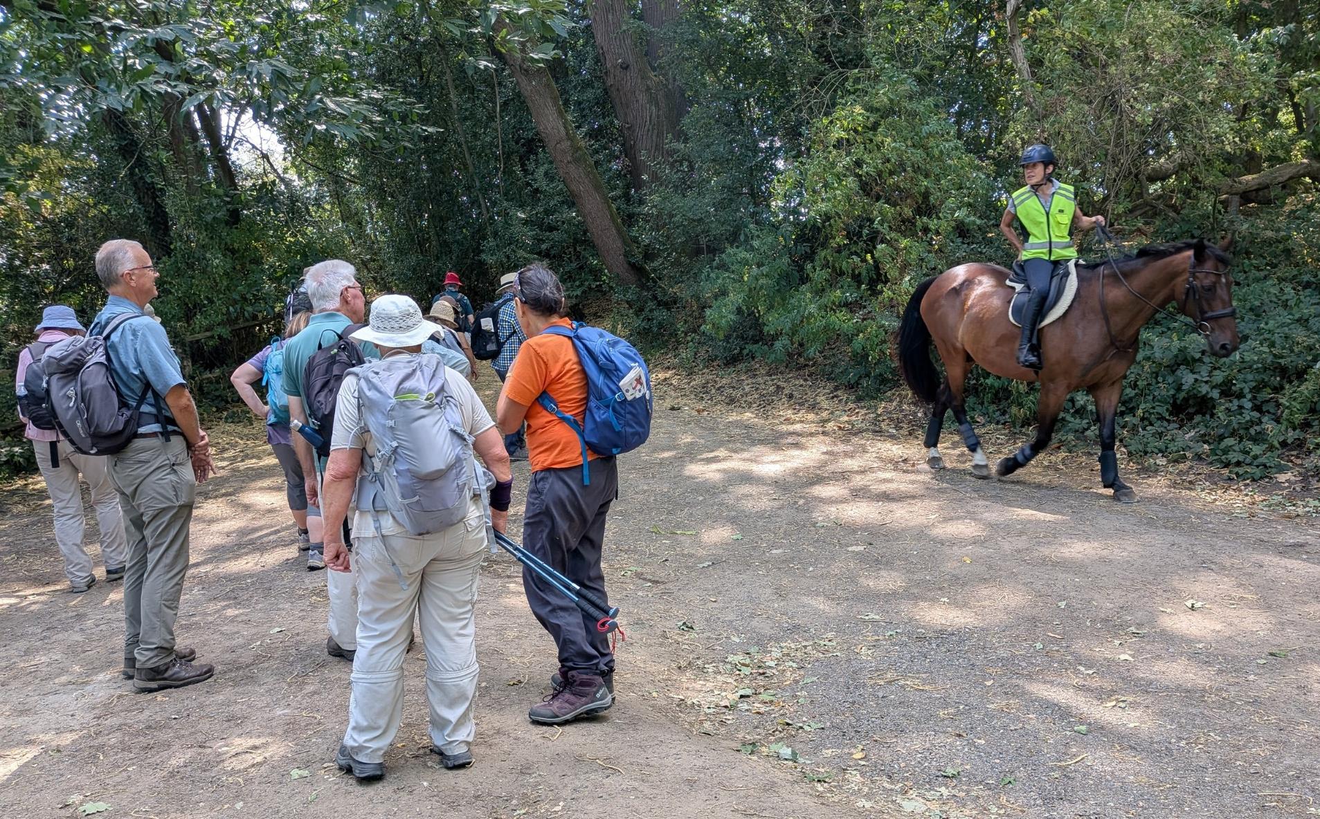 WitleyHorseRider