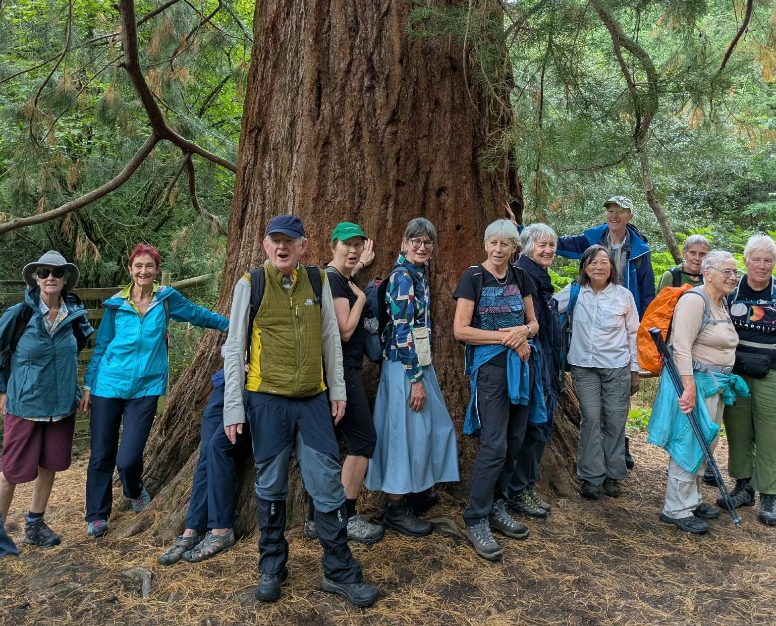 Balcombe SEP26 CraigD 2