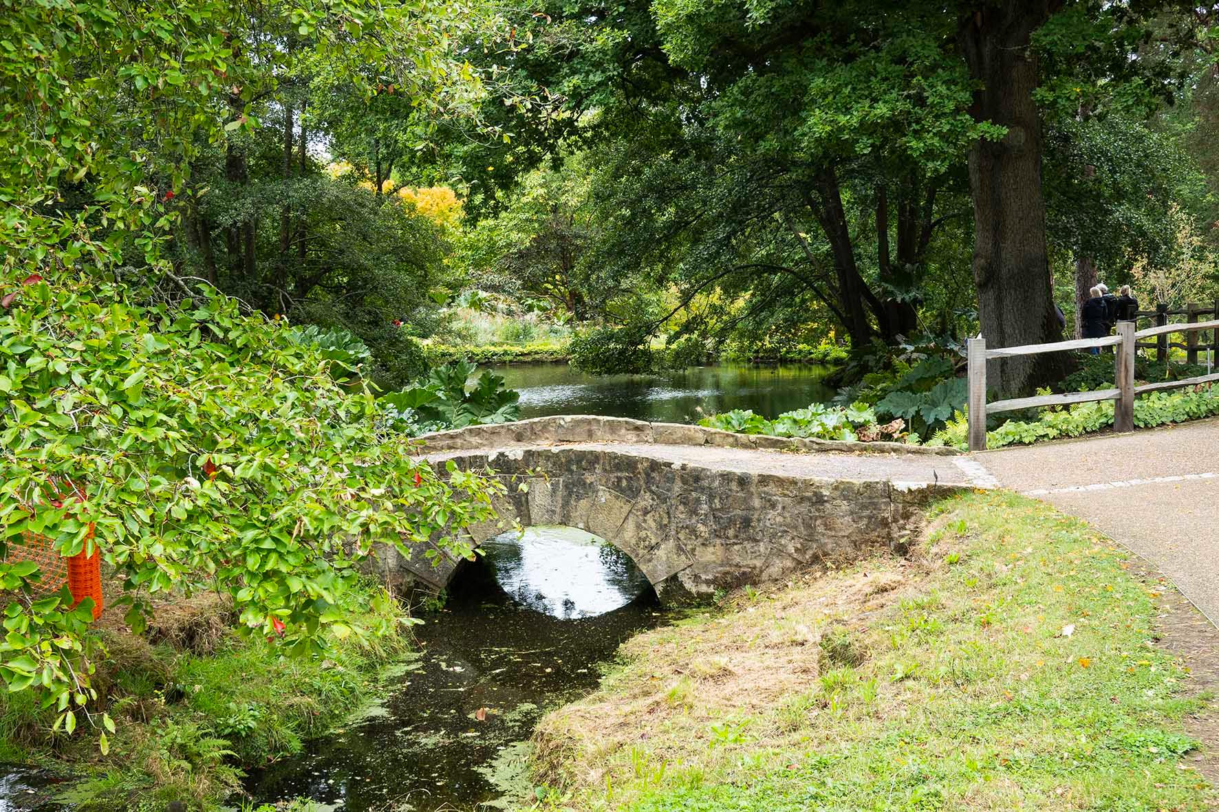 BalcombeCirc.RLG 06