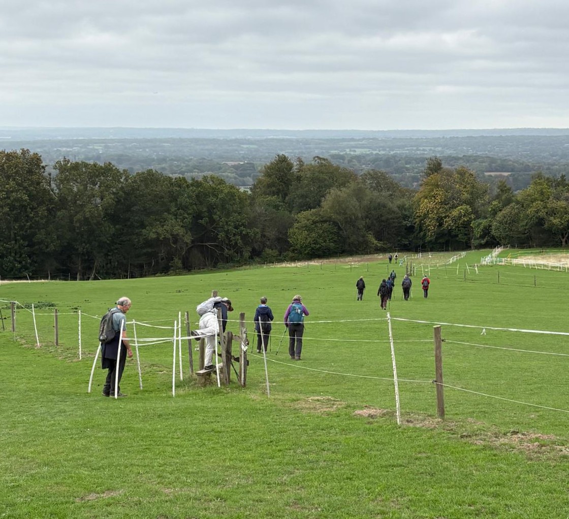 Holmwood SEP26 HamishD 7