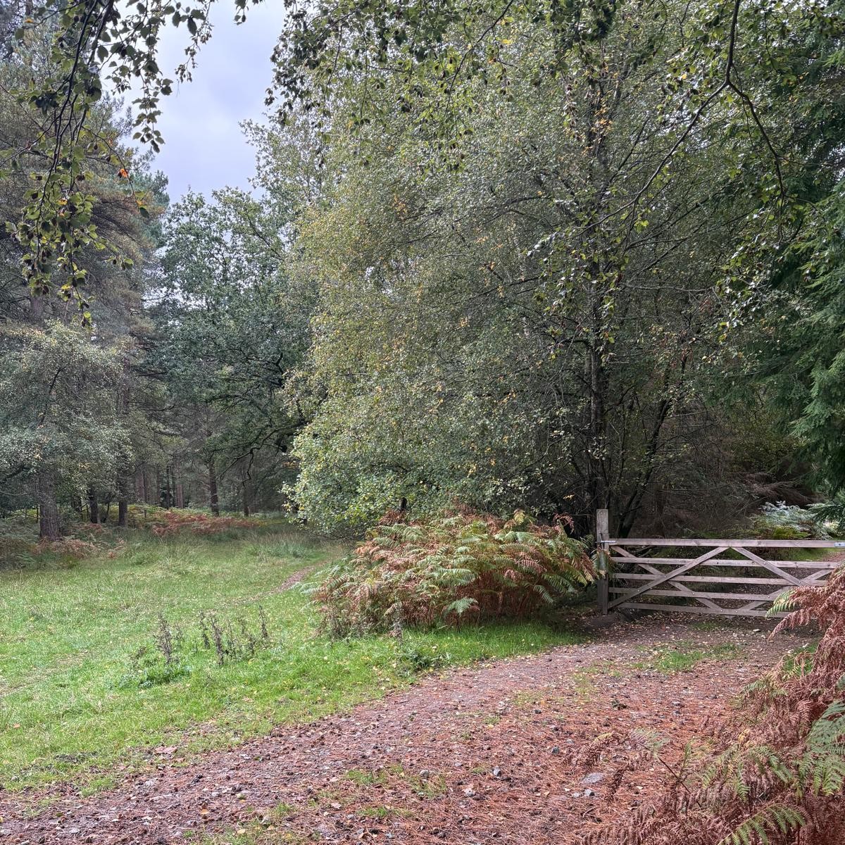 3BridgesCirc OCT26 HamishD 2