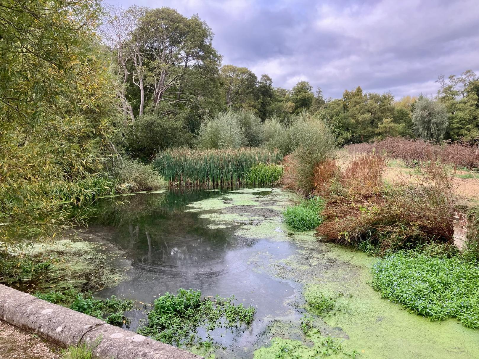 Oxted OCT26 SueE 8