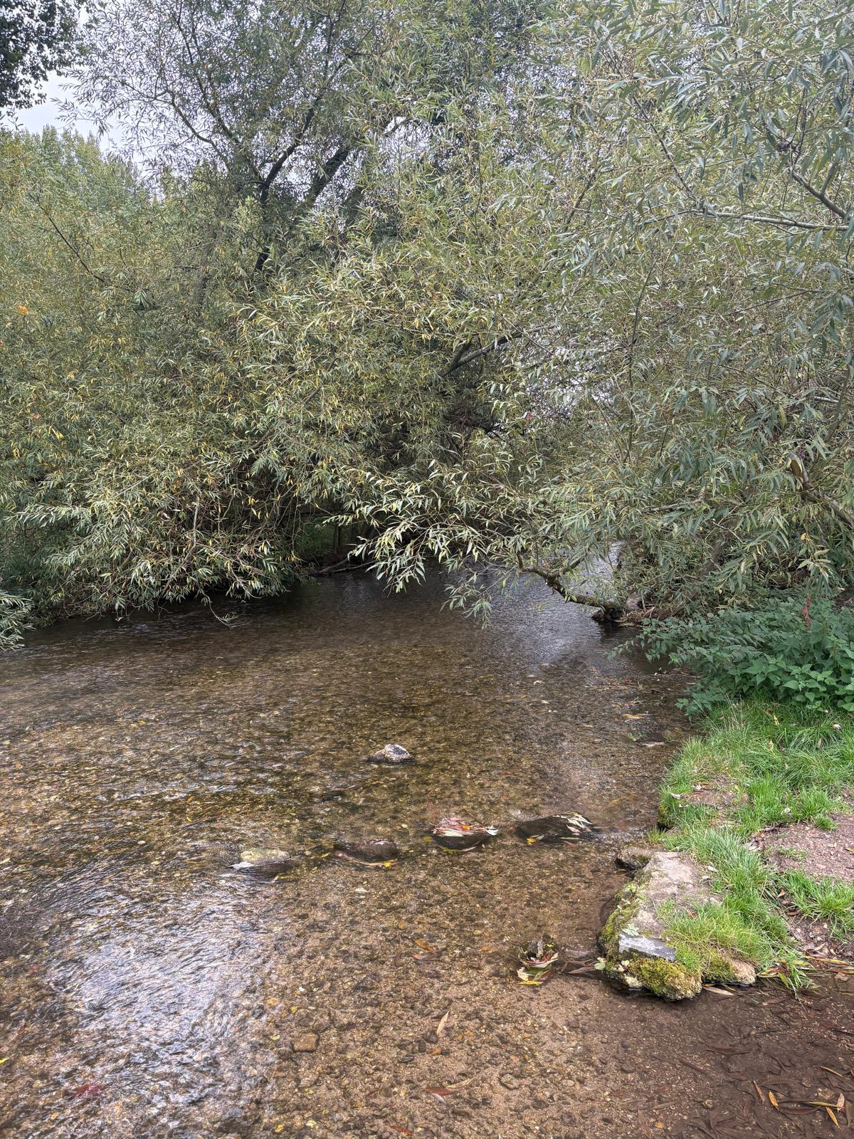 Rickmansworth OCT26 HamishD 8